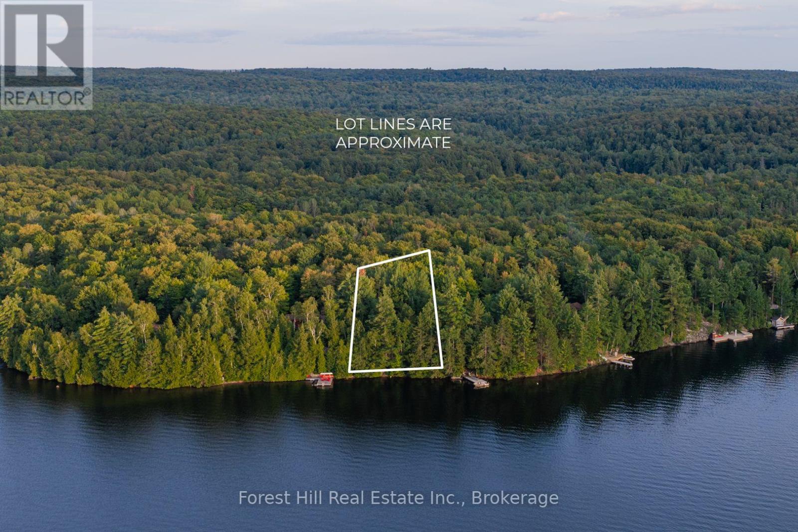 1155 Wolf Circle, Algonquin Highlands, Ontario  P0A 1E0 - Photo 9 - X13747820