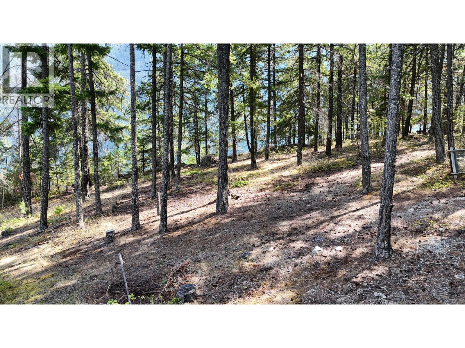 3170 Ponderosa Road, Pemberton, British Columbia  V0N 1L0 - Photo 24 - R3161800