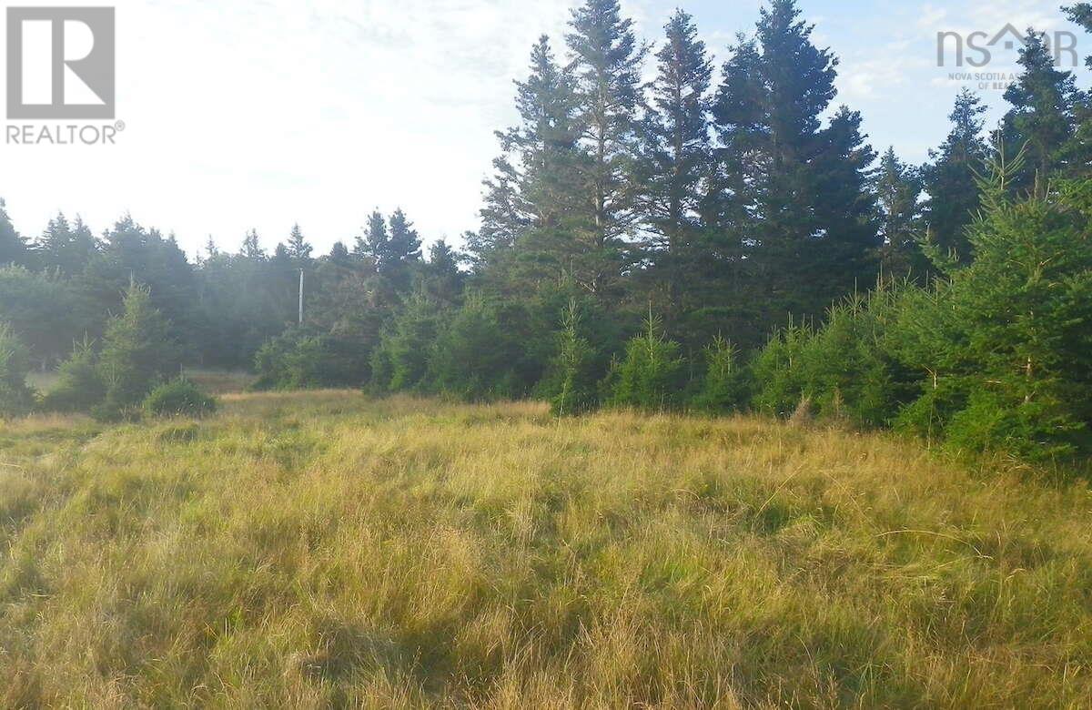 Lot 6 Moshers Island Road, Lahave, Nova Scotia  B0R 1C0 - Photo 10 - 202622502
