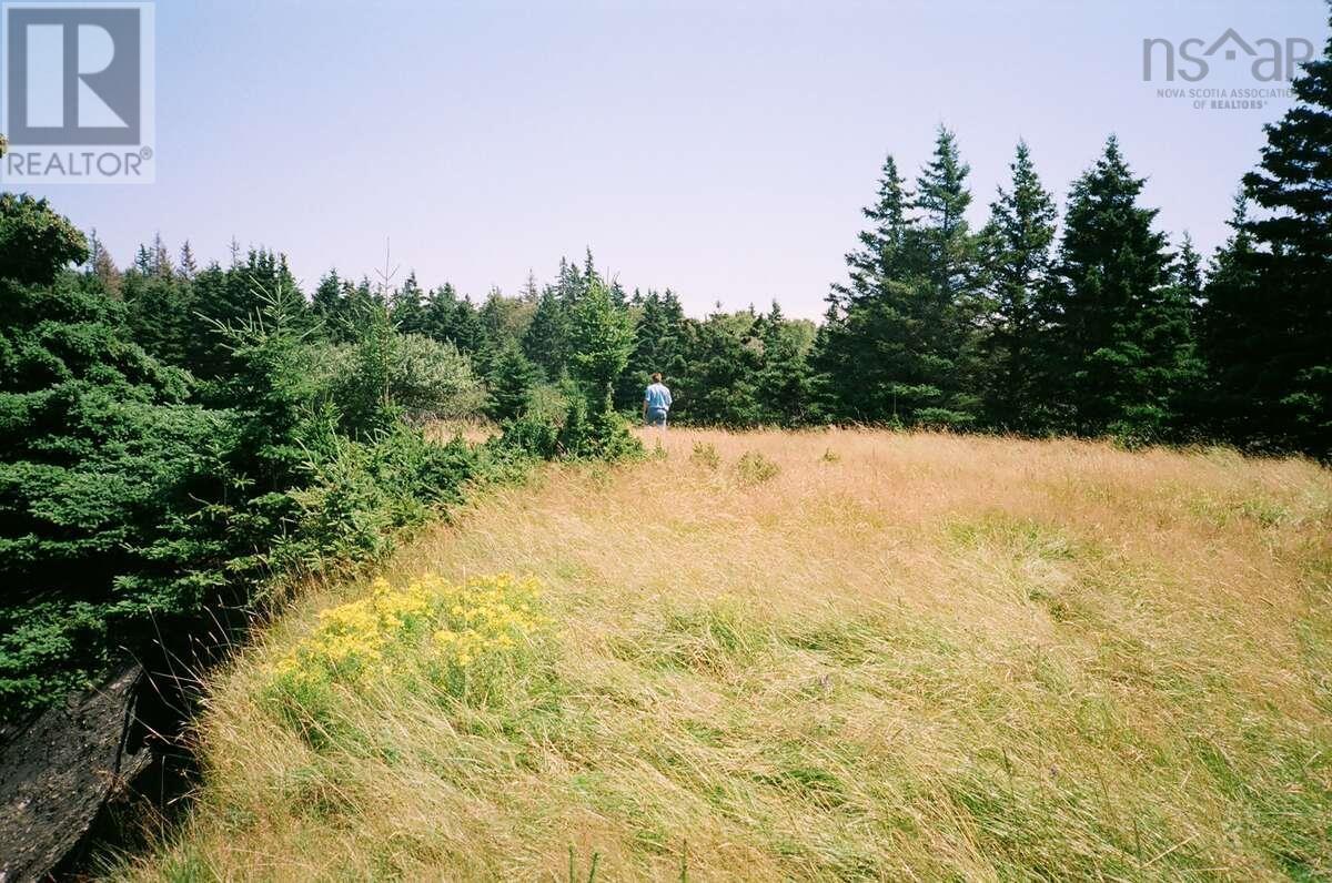 Lot 6 Moshers Island Road, Lahave, Nova Scotia  B0R 1C0 - Photo 6 - 202622502