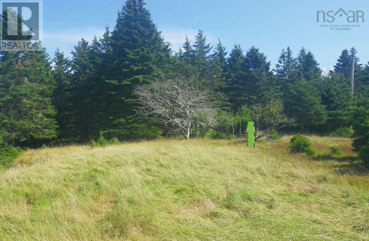 Lot 6 Moshers Island Road, Lahave, Nova Scotia  B0R 1C0 - Photo 9 - 202622502