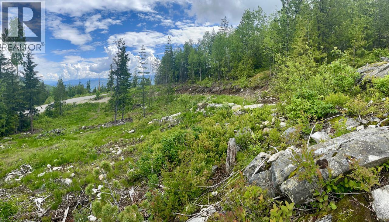 305 Richie Road, Rossland, British Columbia  V0G 1Y0 - Photo 29 - 10378316