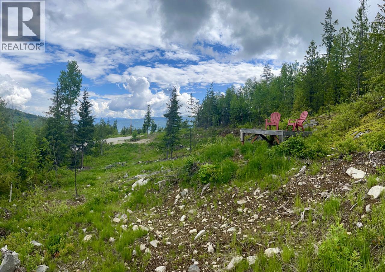 305 Richie Road, Rossland, British Columbia  V0G 1Y0 - Photo 30 - 10378316