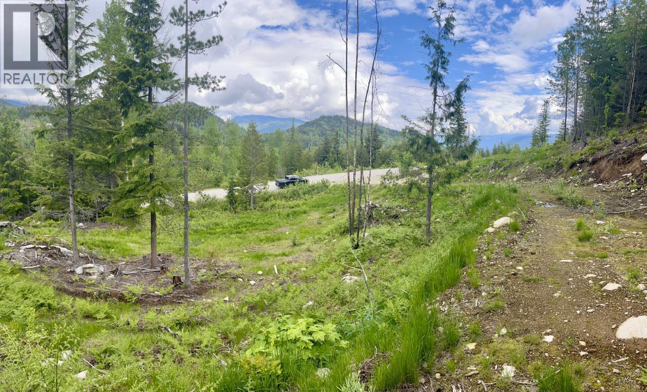 305 Richie Road, Rossland, British Columbia  V0G 1Y0 - Photo 23 - 10378316
