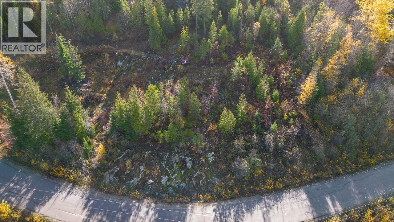 305 Richie Road, Rossland, British Columbia  V0G 1Y0 - Photo 19 - 10378316
