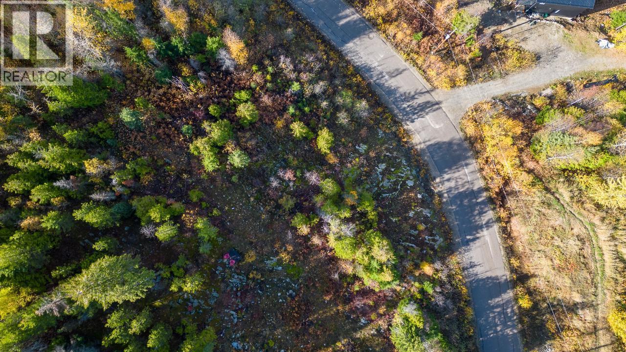 305 Richie Road, Rossland, British Columbia  V0G 1Y0 - Photo 18 - 10378316