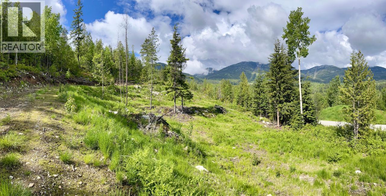 305 Richie Road, Rossland, British Columbia  V0G 1Y0 - Photo 22 - 10378316