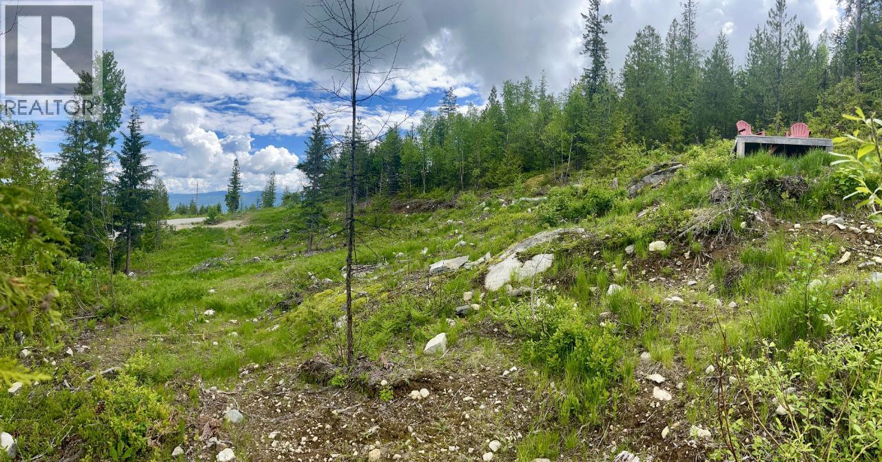 305 Richie Road, Rossland, British Columbia  V0G 1Y0 - Photo 34 - 10378316