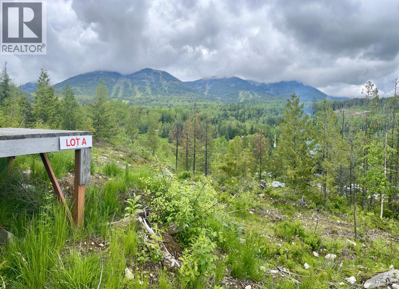 305 Richie Road, Rossland, British Columbia  V0G 1Y0 - Photo 26 - 10378316