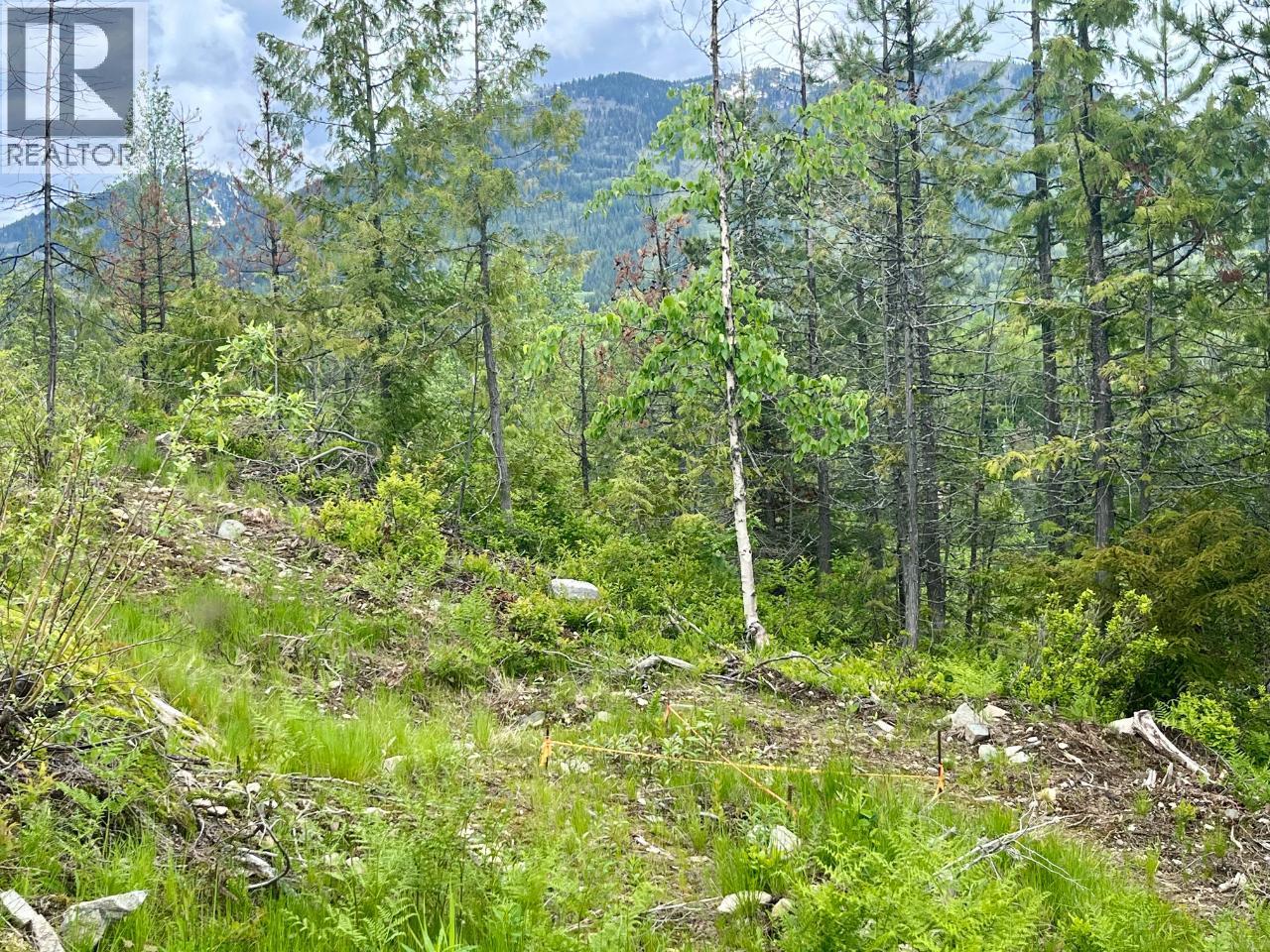 305 Richie Road, Rossland, British Columbia  V0G 1Y0 - Photo 35 - 10378316