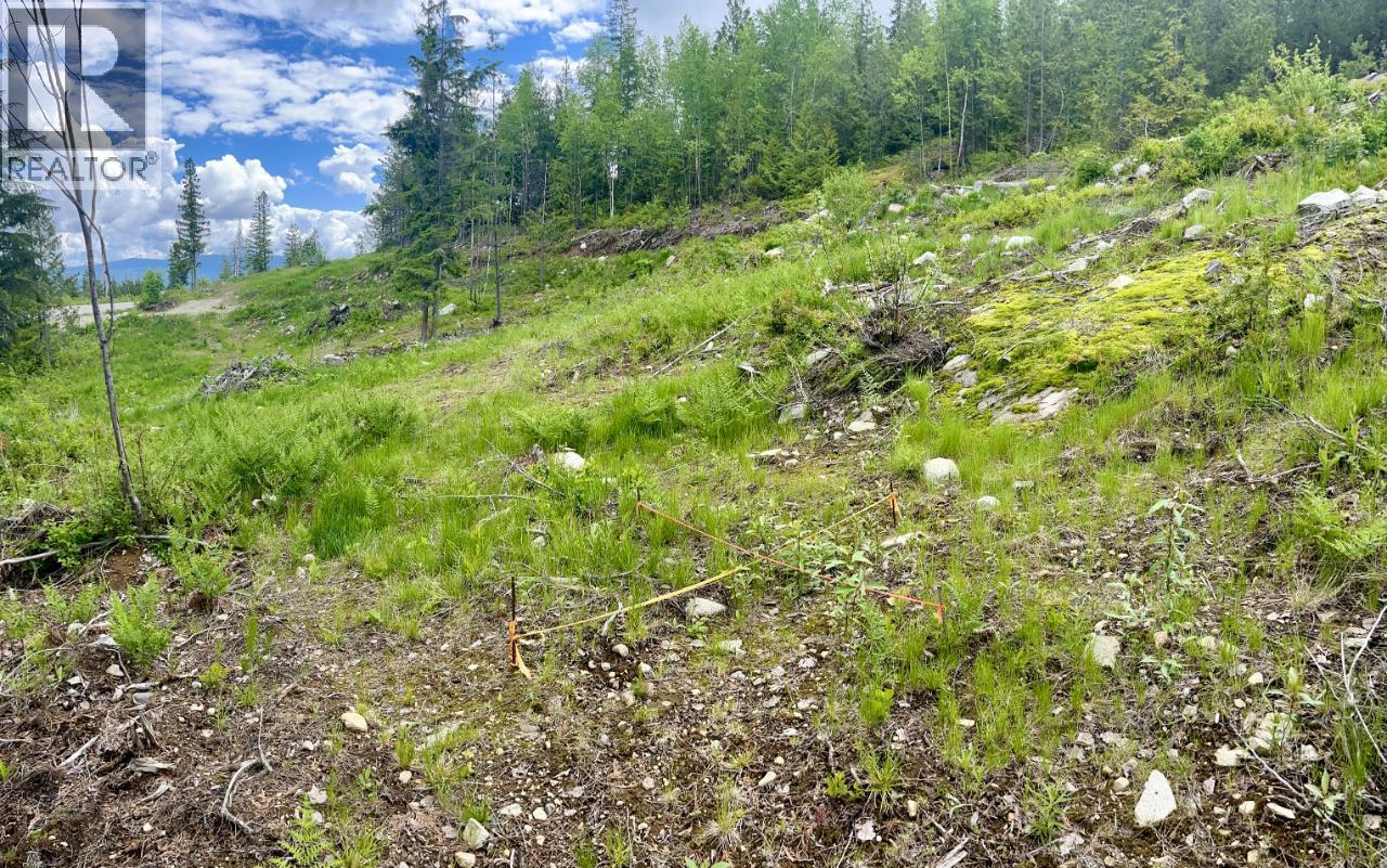 305 Richie Road, Rossland, British Columbia  V0G 1Y0 - Photo 47 - 10378316
