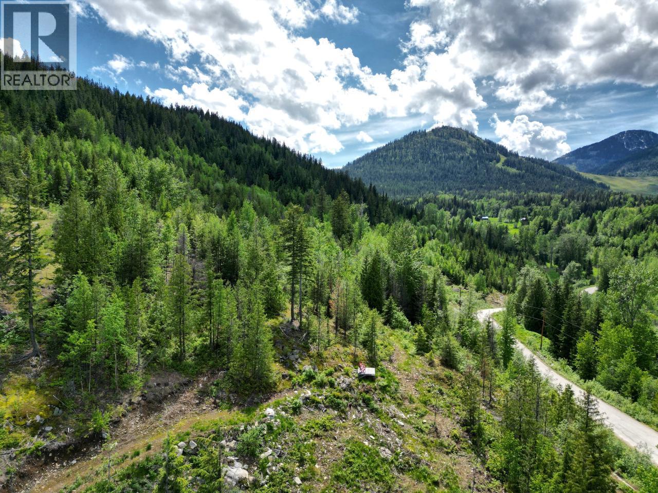 305 Richie Road, Rossland, British Columbia  V0G 1Y0 - Photo 37 - 10378316