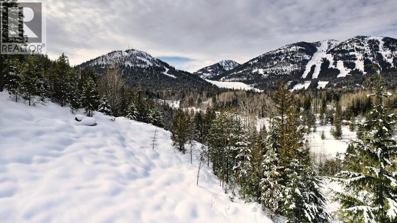 305 Richie Road, Rossland, British Columbia  V0G 1Y0 - Photo 57 - 10378316