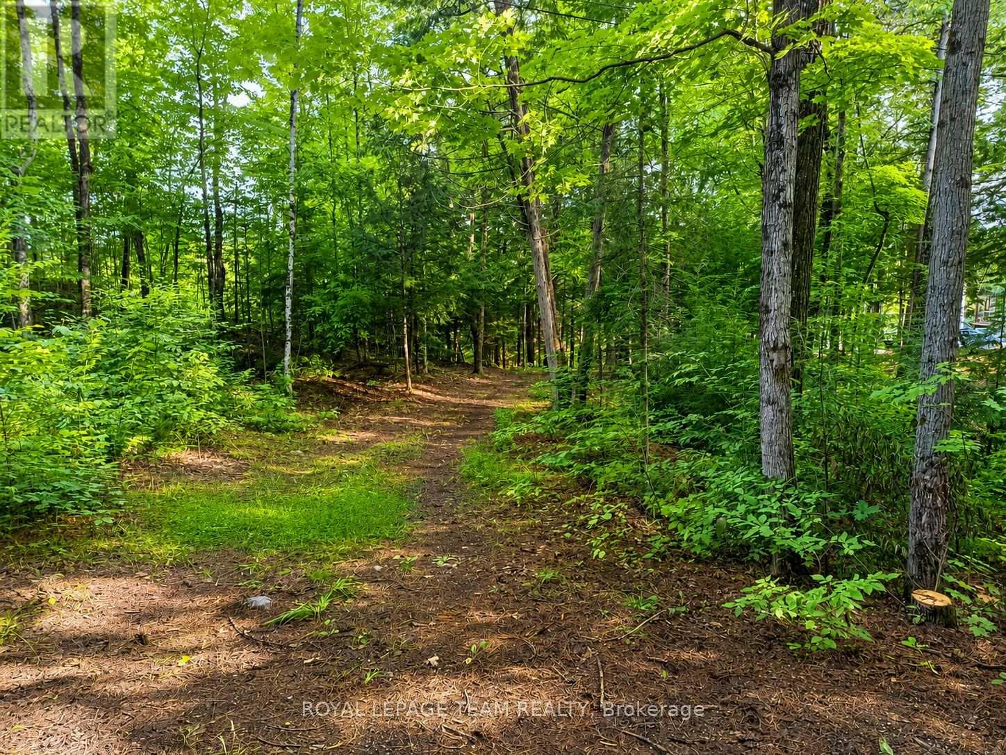 110 Mcvicar Lane, Mcnab/braeside, Ontario  K0A 3L0 - Photo 8 - X13748182