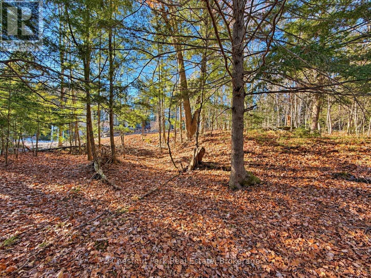 26 Blair Point Road, Seguin, Ontario  P0C 1J0 - Photo 4 - X13748322