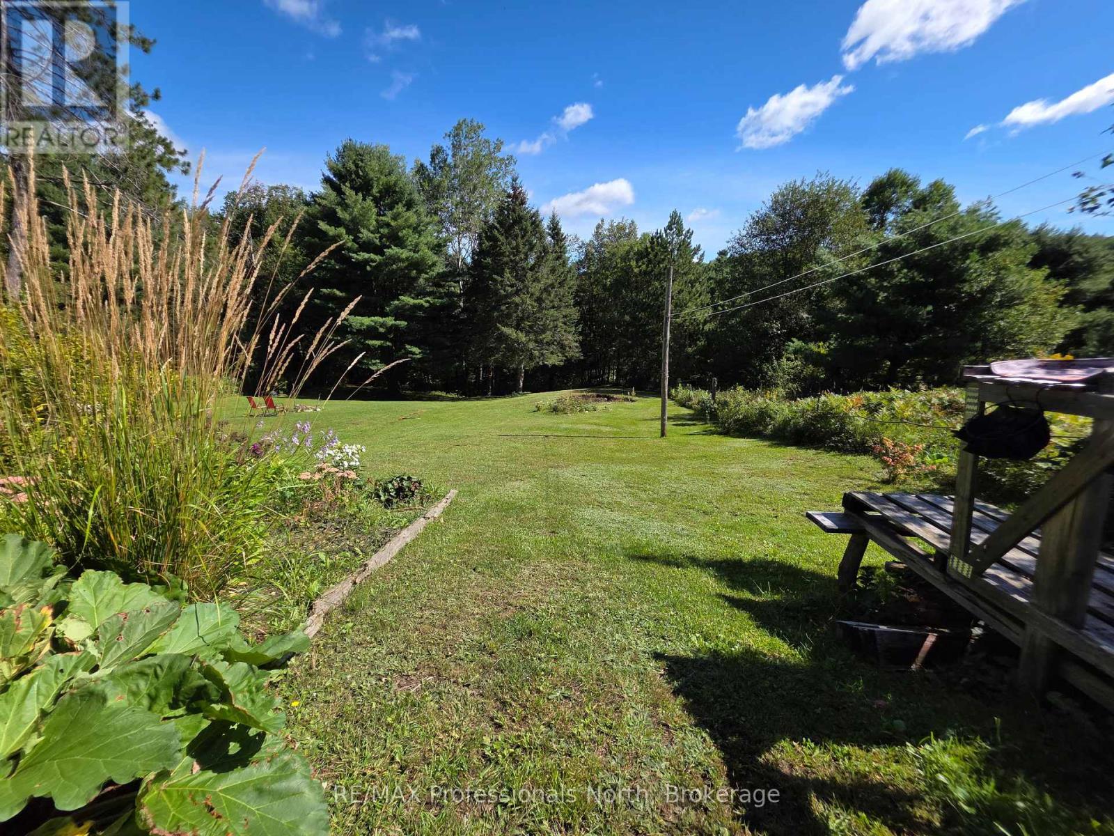 342 Bobcaygeon Road, Minden Hills, Ontario  K0M 2K0 - Photo 35 - X13748364