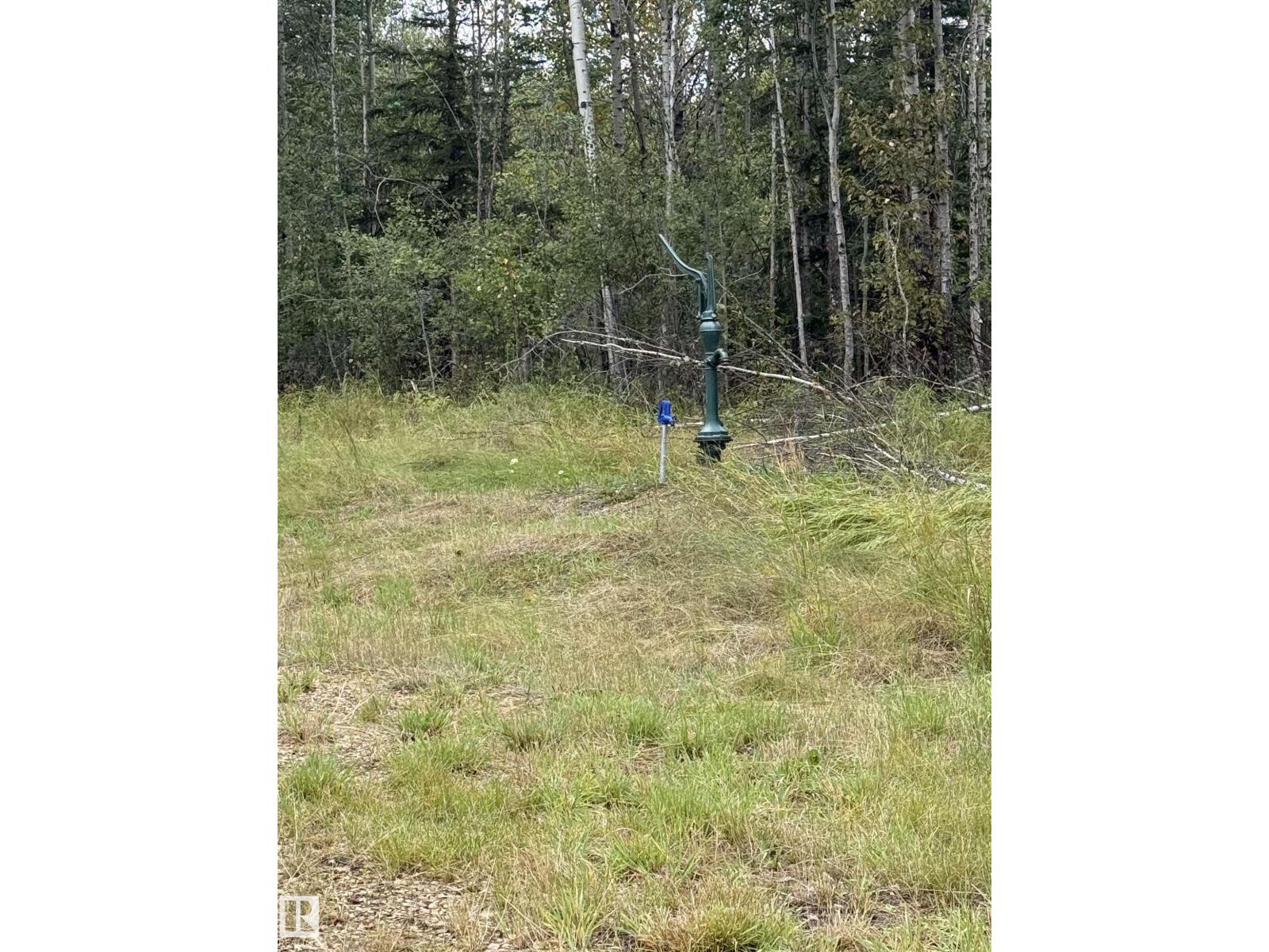 53115 Range Road 110, Rural Yellowhead, Alberta  T0E 2M0 - Photo 7 - E4507286