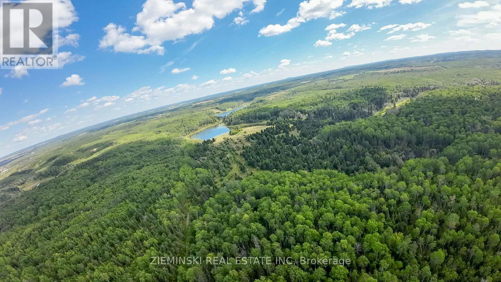 1/2 Lt 6 Con 5 Bowman, Black River-Matheson, Ontario  P0K 1N0 - Photo 5 - T13748680