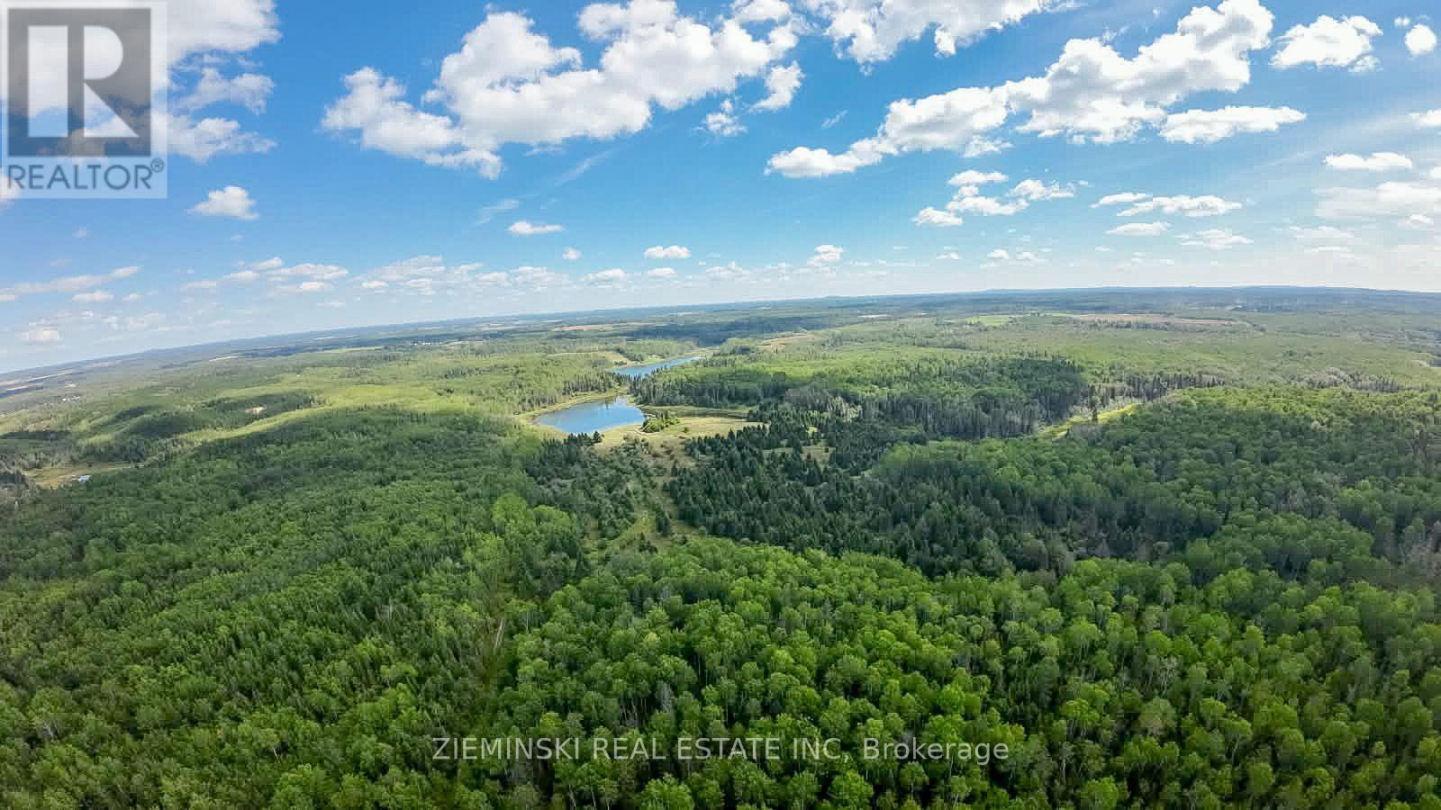 1/2 Lt 6 Con 5 Bowman, Black River-Matheson, Ontario  P0K 1N0 - Photo 9 - T13748680