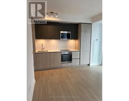 4305 - 8 WIDMER STREET, Toronto, Ontario