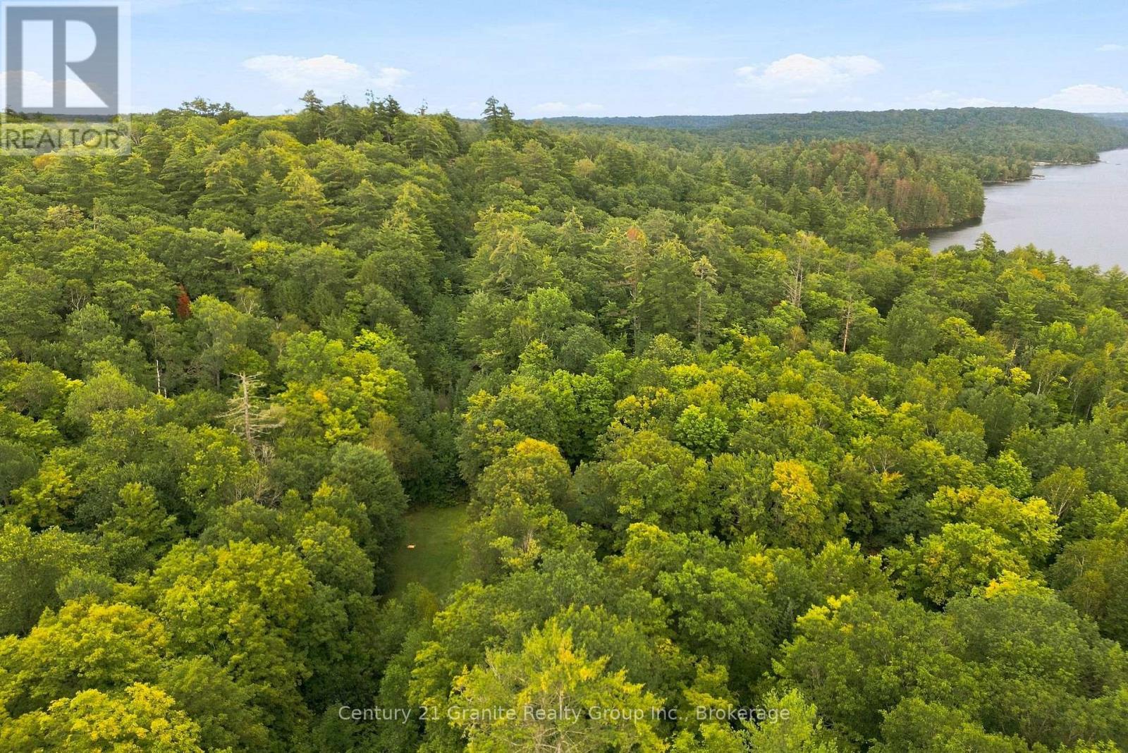 1131 Kanawa Lane, Algonquin Highlands, Ontario  K0M 1S0 - Photo 44 - X13742758