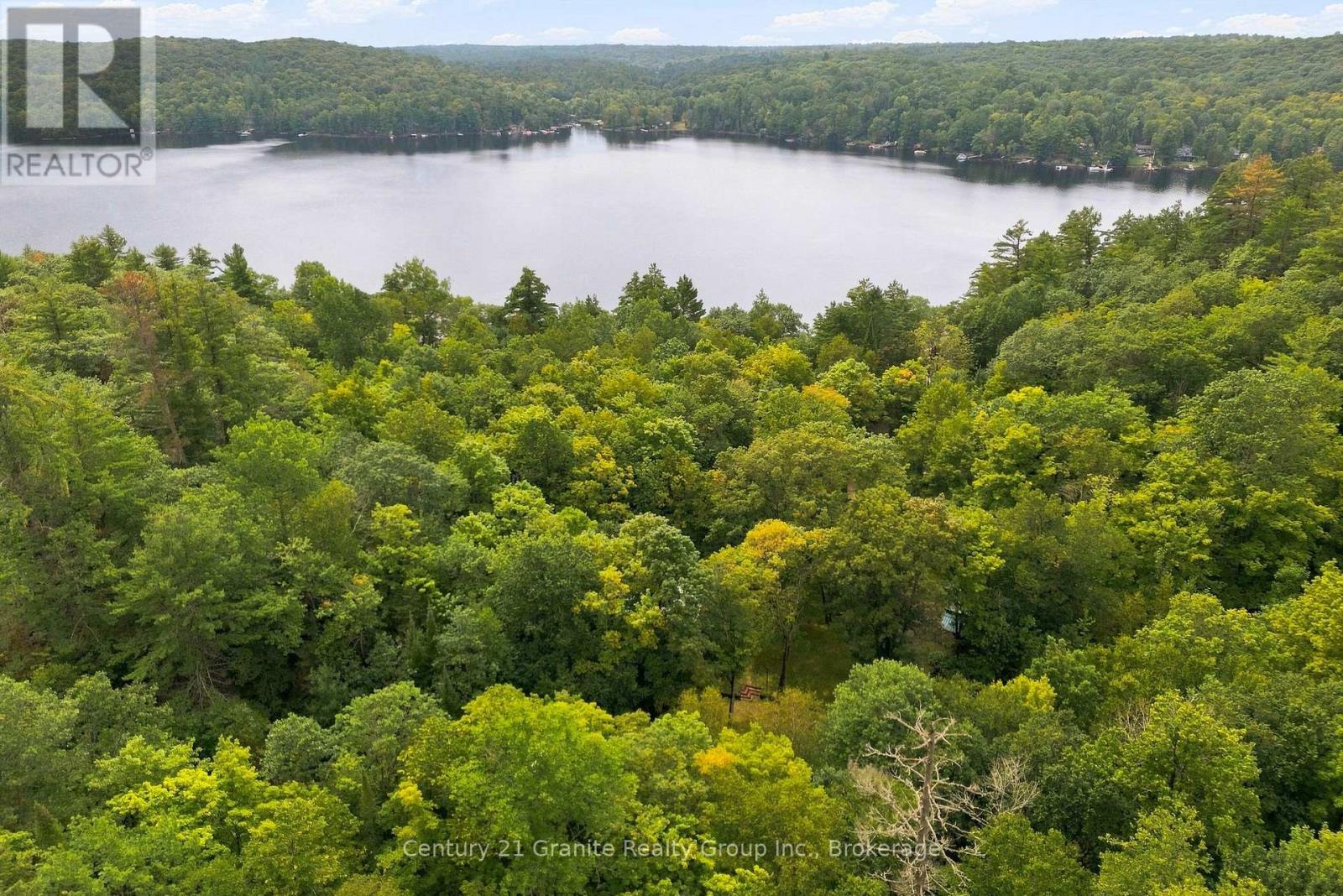 1131 Kanawa Lane, Algonquin Highlands, Ontario  K0M 1S0 - Photo 45 - X13742758