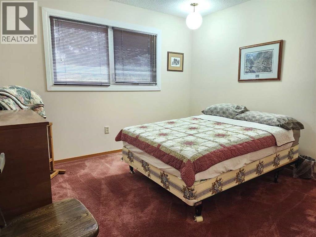 31 Larch Avenue, Drumheller, Alberta  T0J 0Y1 - Photo 19 - A2313523