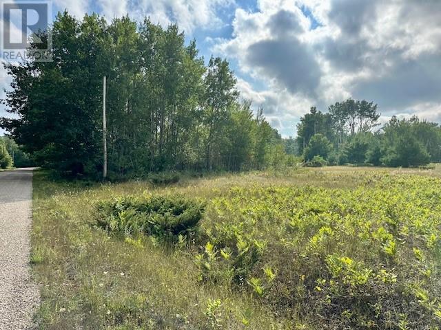 . Lt 72 Pl S154; Billings, Kagawong, Ontario  P0P 1J0 - Photo 10 - 2130069