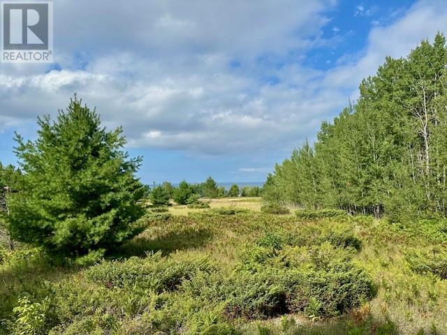 . Lt 72 Pl S154; Billings, Kagawong, Ontario  P0P 1J0 - Photo 7 - 2130069