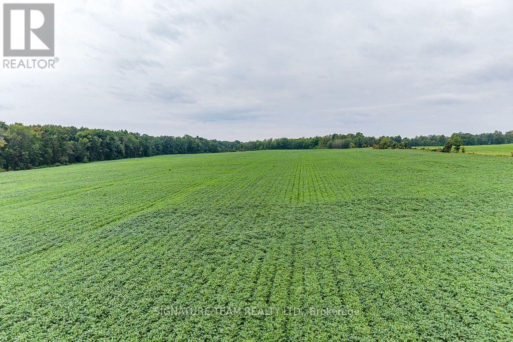 19573 17 Highway, Whitewater Region, Ontario  K0J 1K0 - Photo 46 - X13748782
