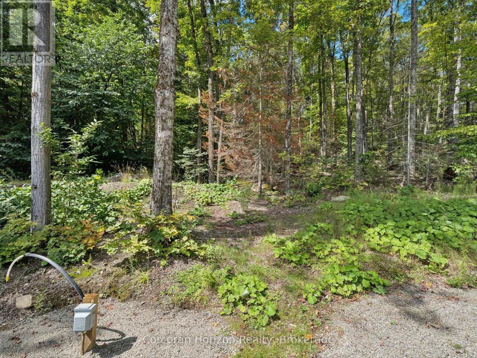 1211 Pluto Trail, Dysart Et Al, Ontario  K0M 1S0 - Photo 32 - X13748818