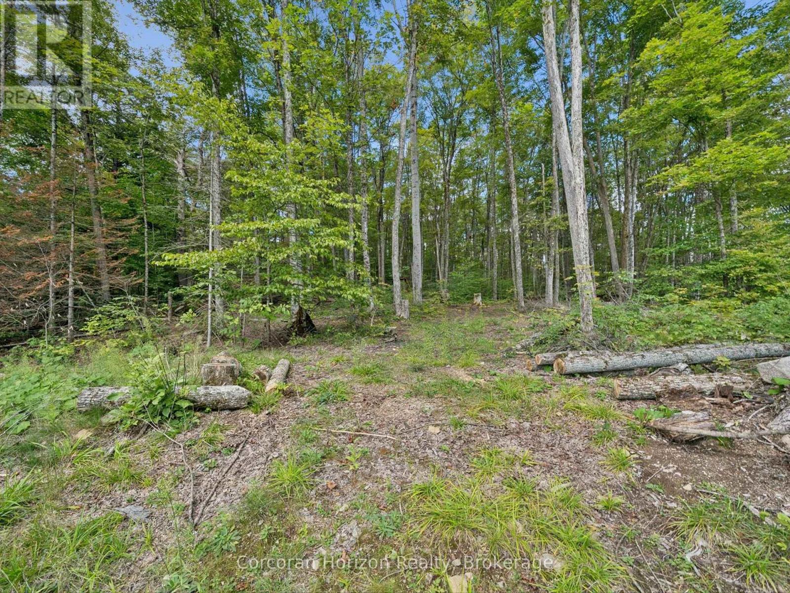 1211 Pluto Trail, Dysart Et Al, Ontario  K0M 1S0 - Photo 33 - X13748818