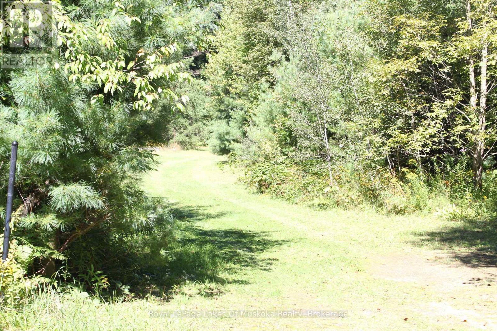 00 East Road, Lake Of Bays, Ontario  P0B 1A0 - Photo 4 - X13628606