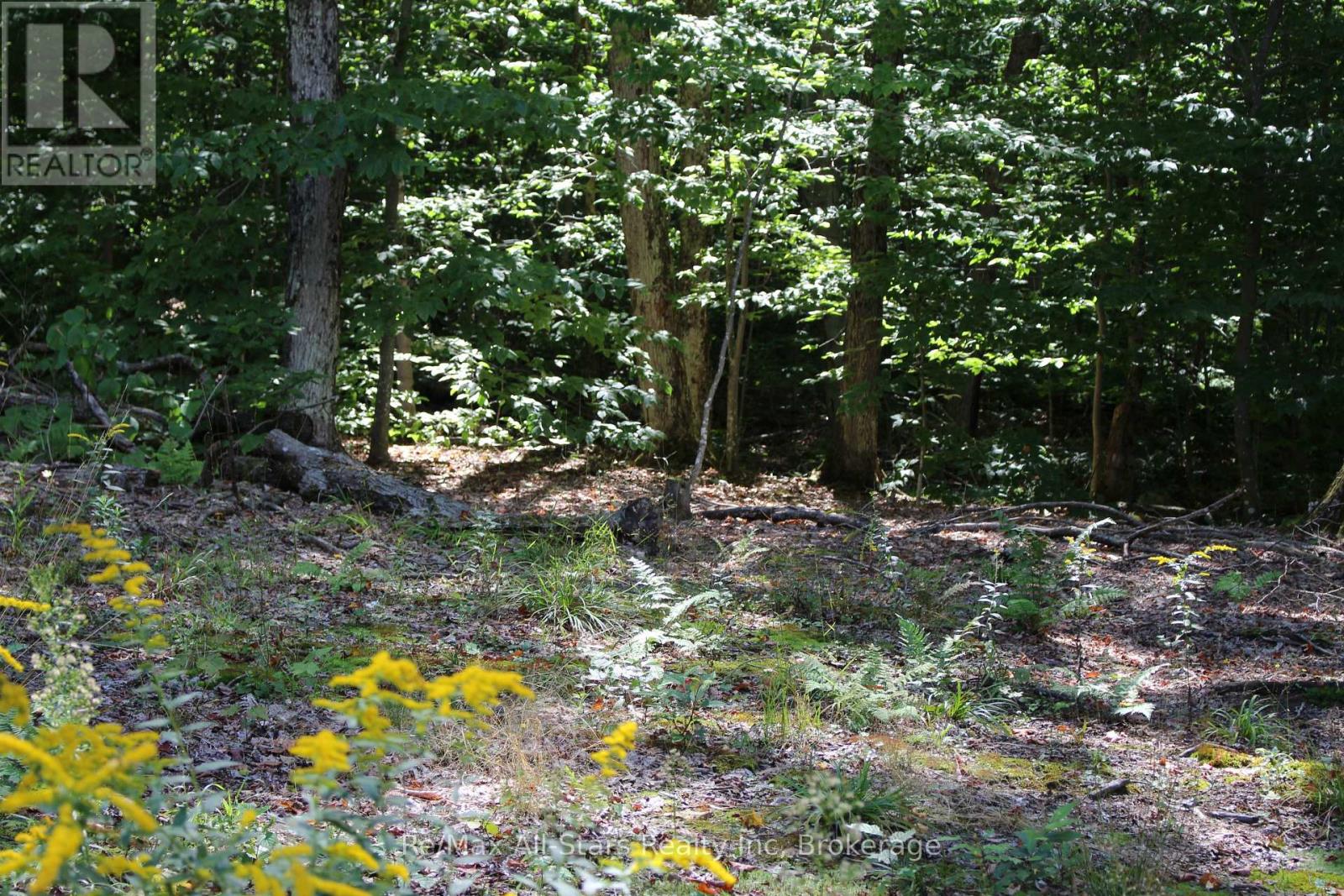 3480 Brunel Road, Lake Of Bays, Ontario  P1H 2J3 - Photo 13 - X13736012