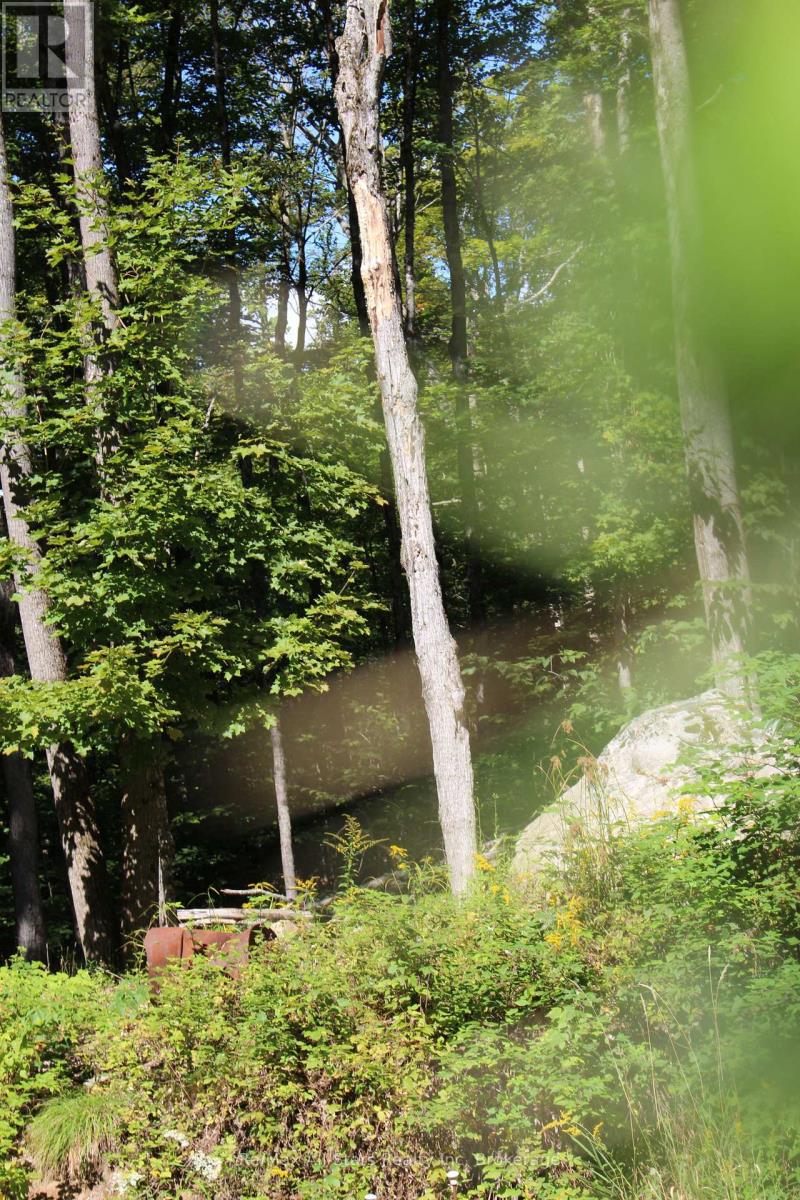 3480 Brunel Road, Lake Of Bays, Ontario  P1H 2J3 - Photo 11 - X13736012