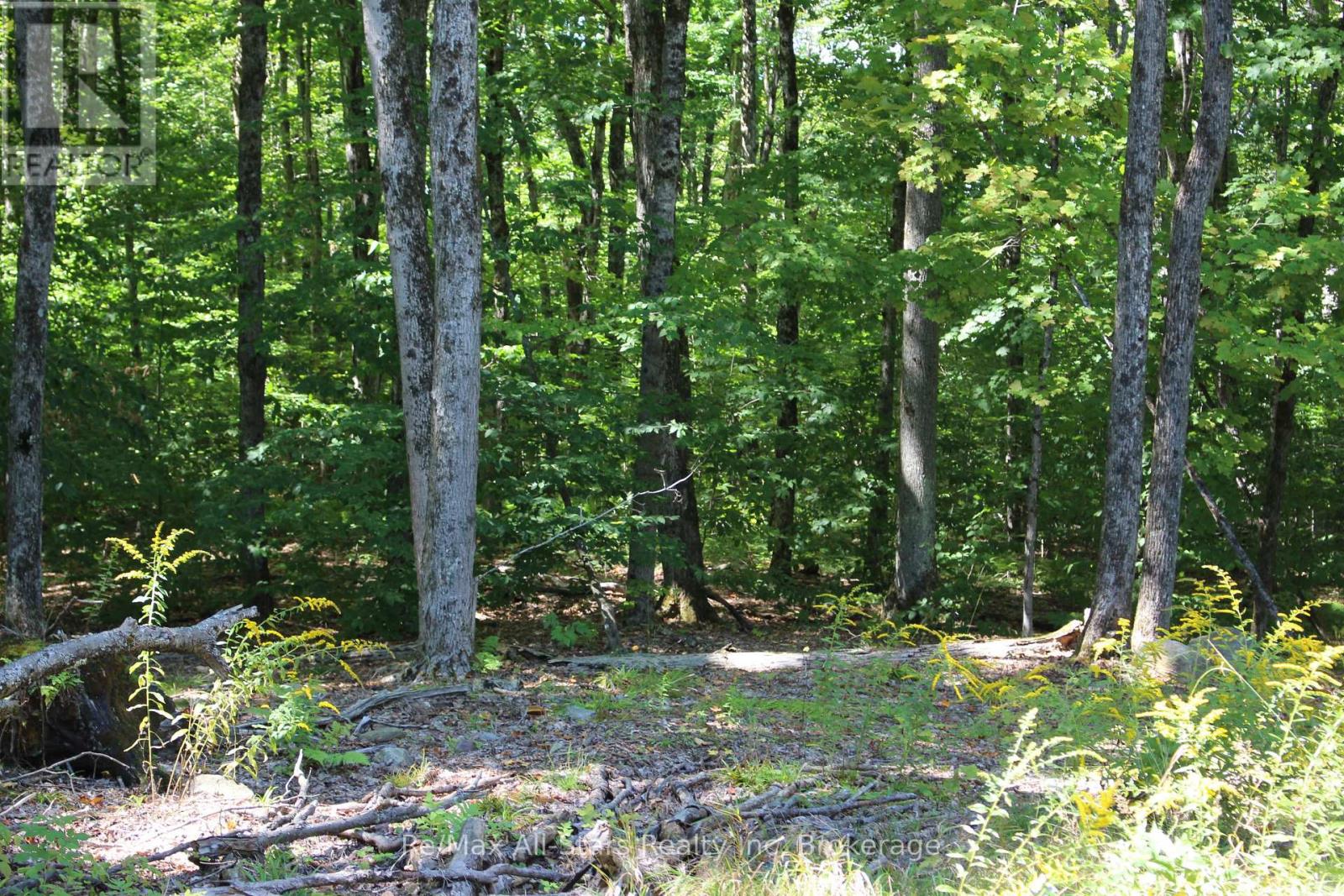 3480 Brunel Road, Lake Of Bays, Ontario  P1H 2J3 - Photo 12 - X13736012
