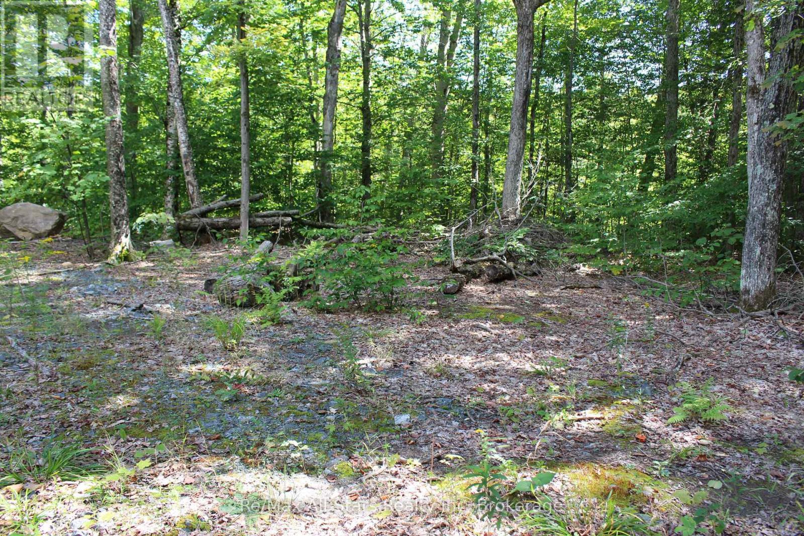 3480 Brunel Road, Lake Of Bays, Ontario  P1H 2J3 - Photo 16 - X13736012