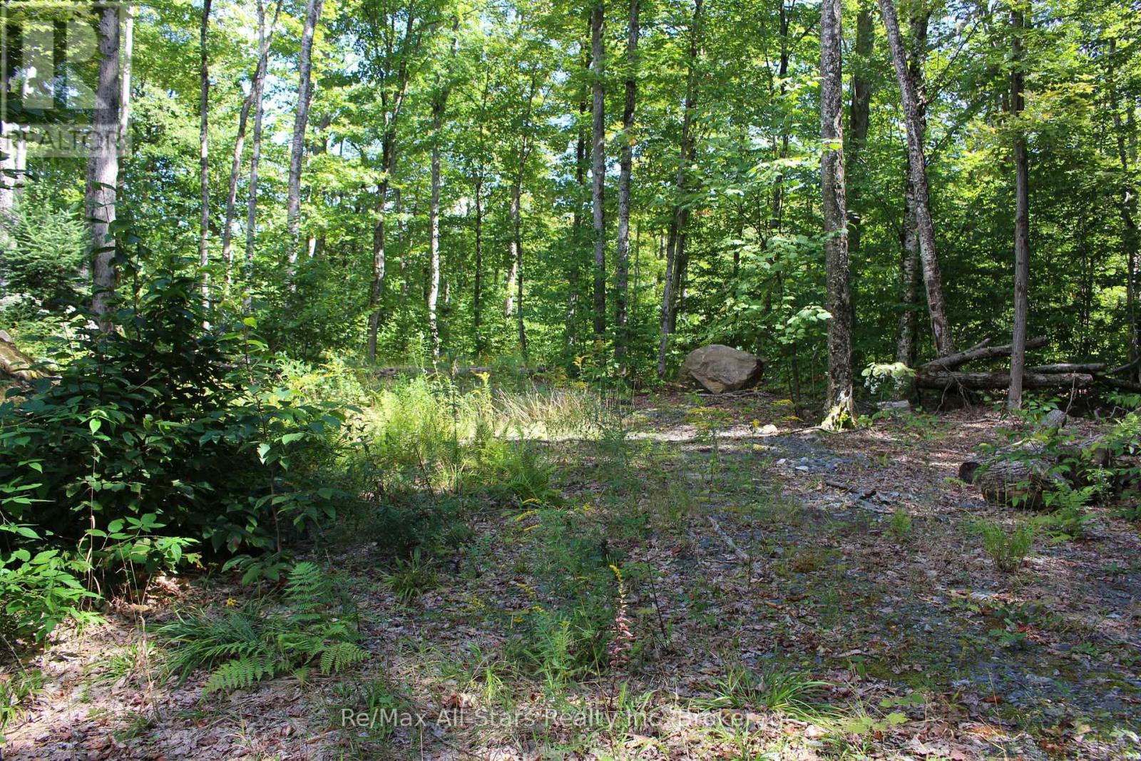 3480 Brunel Road, Lake Of Bays, Ontario  P1H 2J3 - Photo 15 - X13736012
