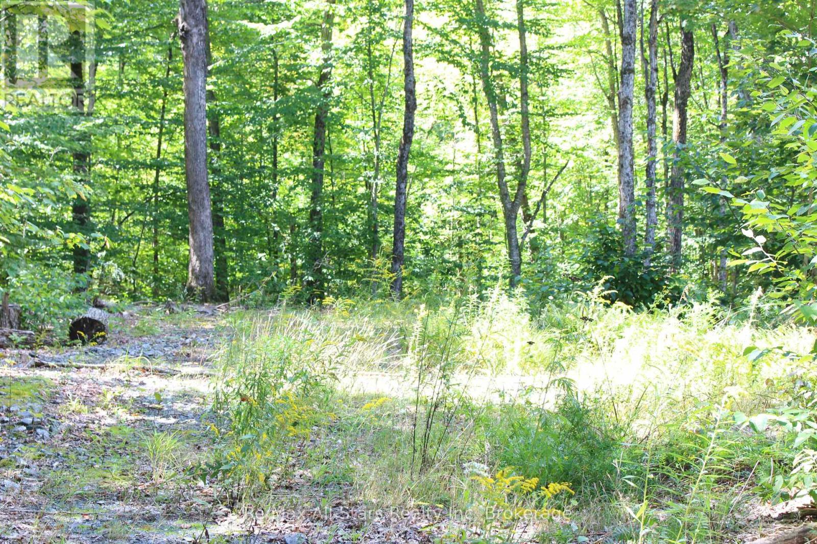 3480 Brunel Road, Lake Of Bays, Ontario  P1H 2J3 - Photo 8 - X13736012