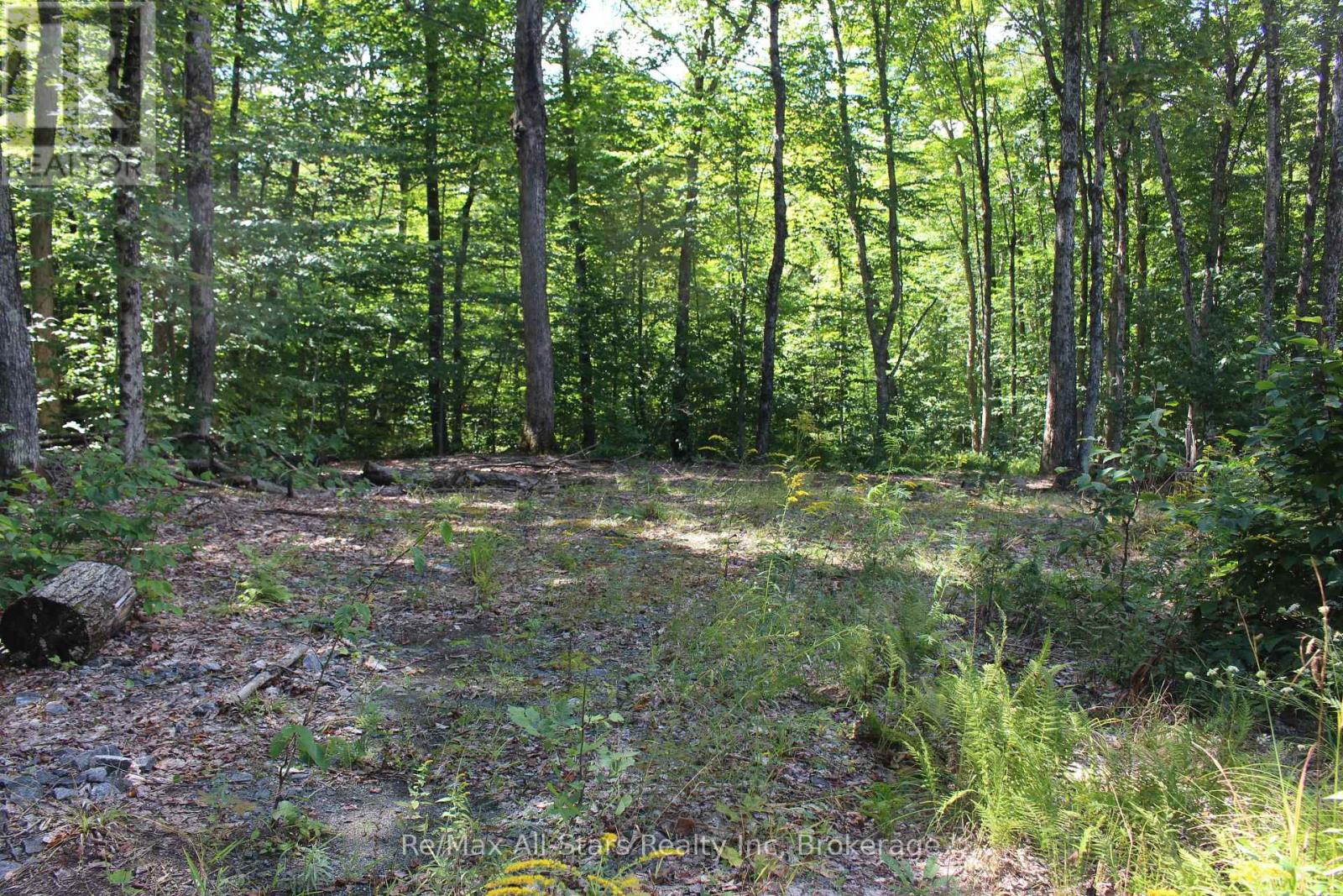 3480 Brunel Road, Lake Of Bays, Ontario  P1H 2J3 - Photo 17 - X13736012