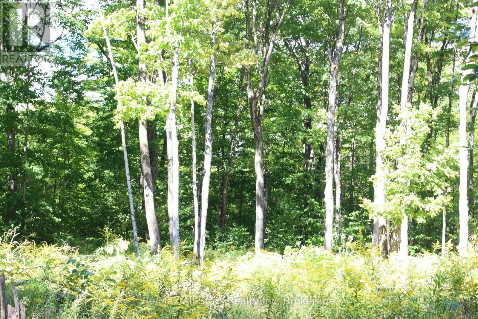 3480 Brunel Road, Lake Of Bays, Ontario  P1H 2J3 - Photo 9 - X13736012