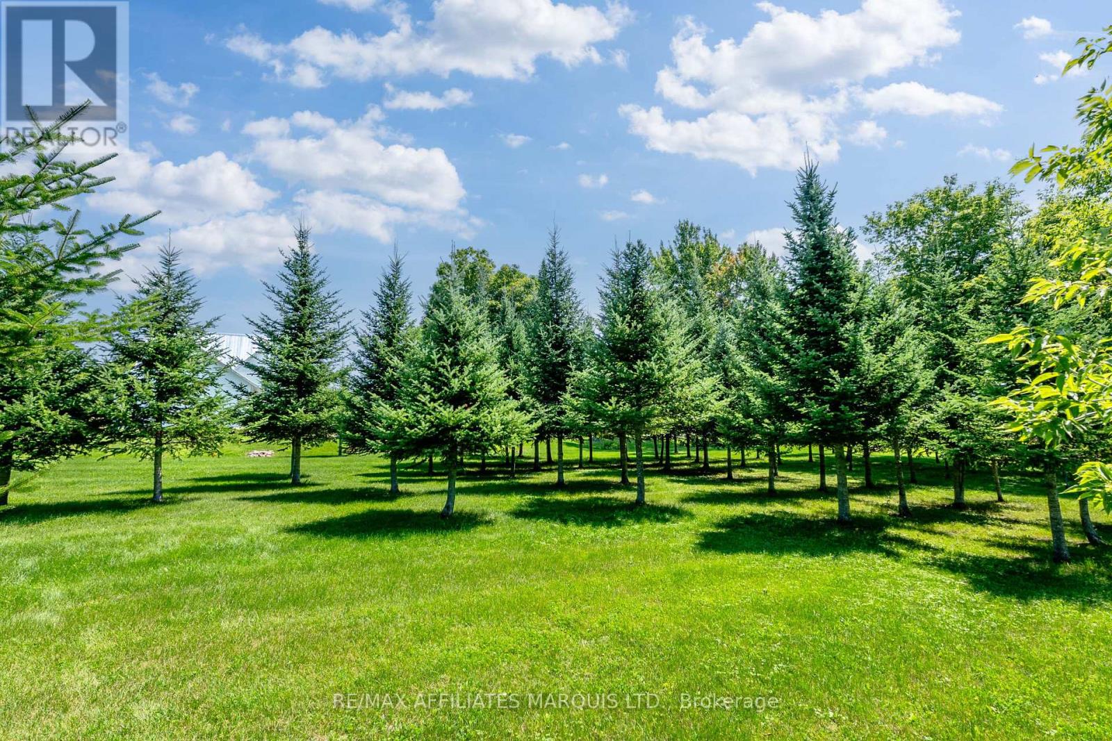 18269 North Branch Road, South Glengarry, Ontario  K0C 1S0 - Photo 44 - X13748864