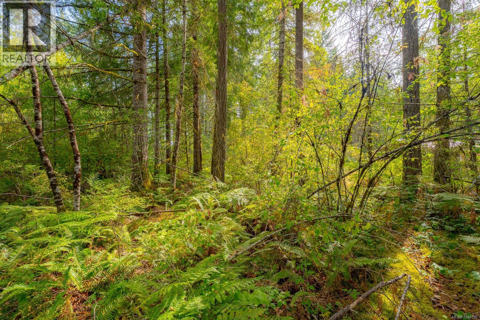 Lot B Fern Rd, Port Alberni, British Columbia  V9Y 8W9 - Photo 4 - 1048798