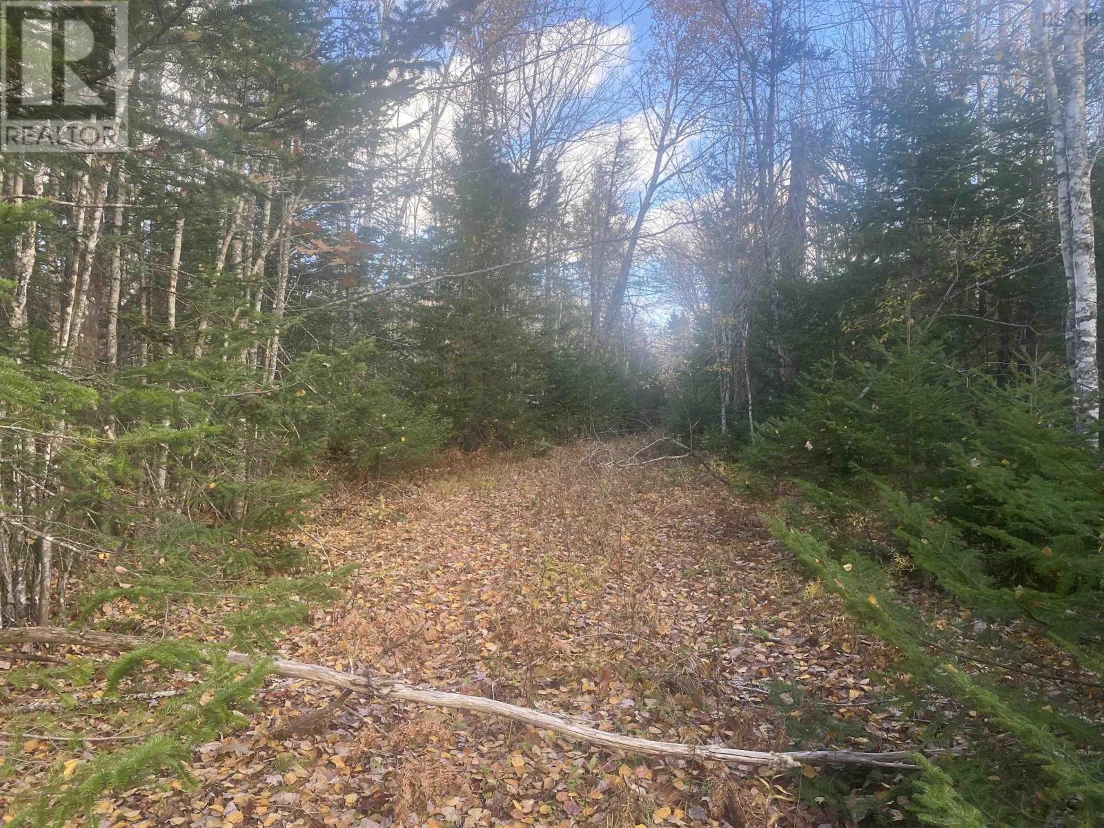 LOT 2 248 Highlands Road, West Tatamagouche, Nova Scotia
