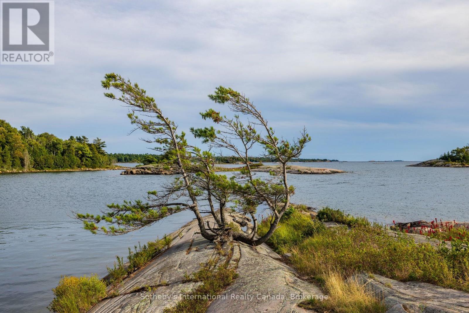 1 Island 352c, Carling, Ontario  P0G 1G0 - Photo 3 - X13733296