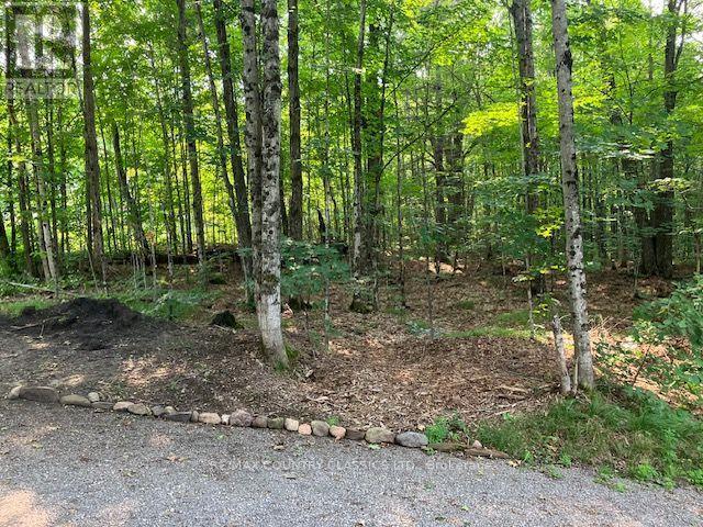 2721 Old Hastings Road, Limerick, Ontario  K0L 1P0 - Photo 35 - X13746874