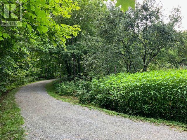 2721 Old Hastings Road, Limerick, Ontario  K0L 1P0 - Photo 38 - X13746874