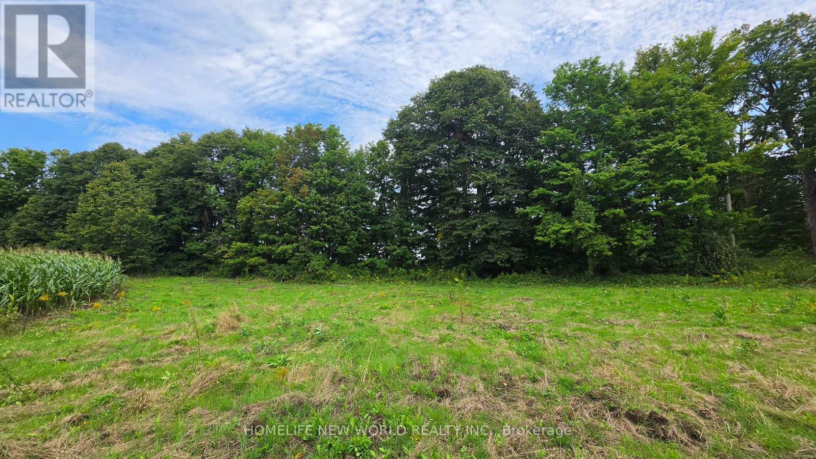814 Thomasburg Road, Centre Hastings, Ontario  K0K 2K0 - Photo 34 - X13749174