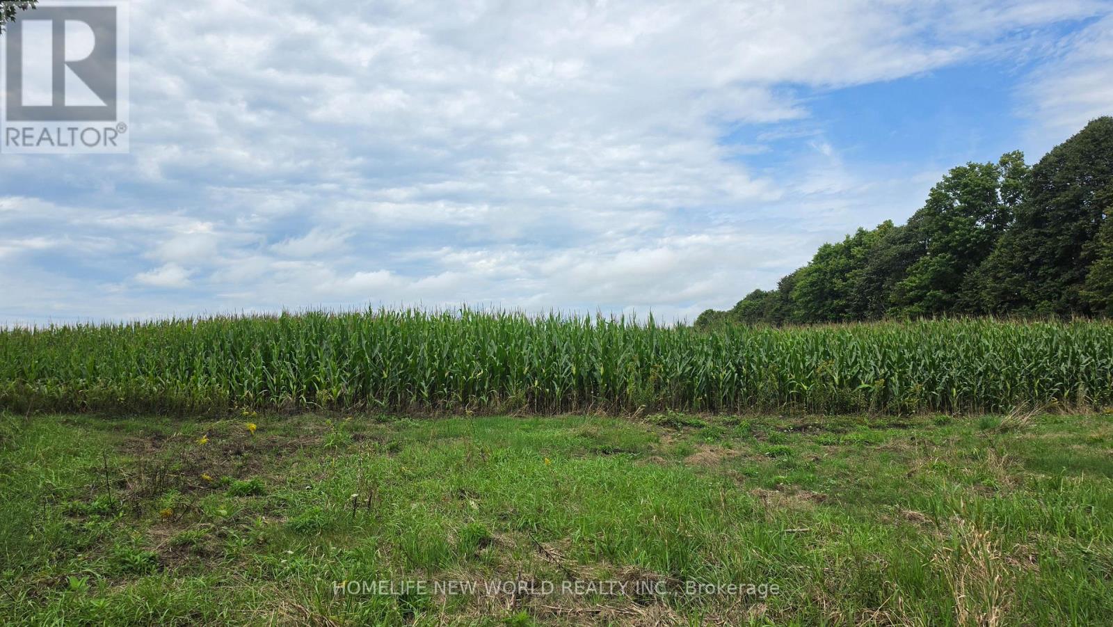 814 Thomasburg Road, Centre Hastings, Ontario  K0K 2K0 - Photo 35 - X13749174