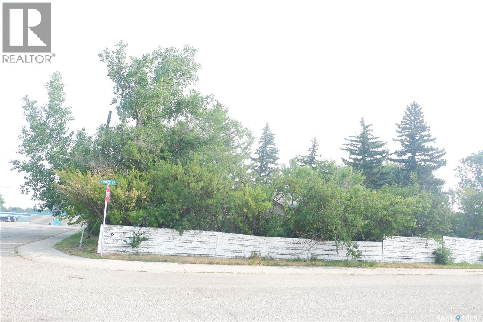 38 Kasper Crescent, Assiniboia, Saskatchewan  S0H 0B0 - Photo 29 - SK047563